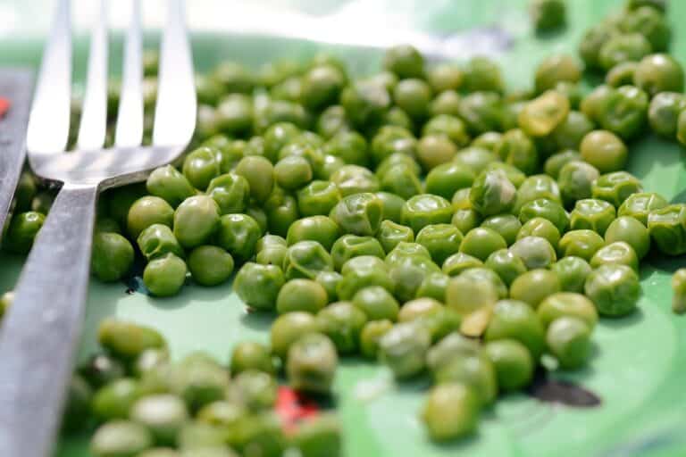 transformer des restes en délicieux plats